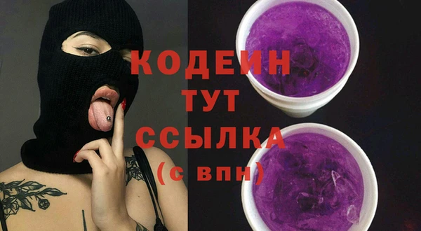 дурь Ельня