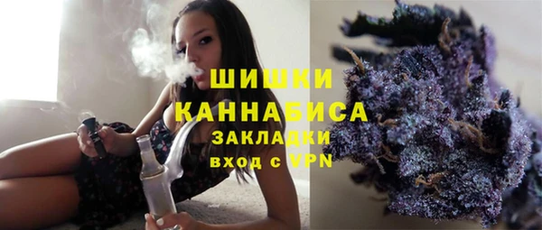 дурь Ельня