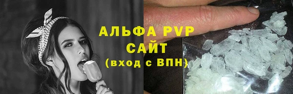 дурь Ельня
