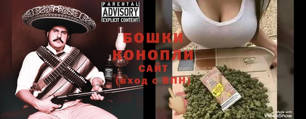 дурь Ельня