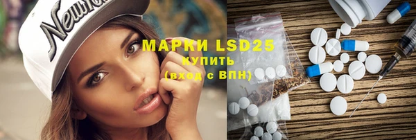 дурь Ельня