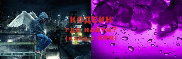 дурь Ельня