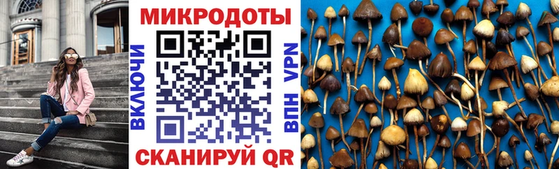 Галлюциногенные грибы Magic Shrooms  купить наркоту  Зубцов 